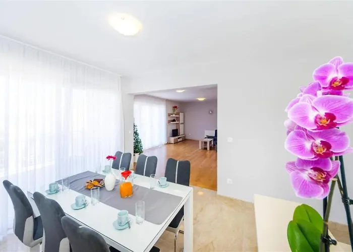 My Dalmatia * Ζαντάρ